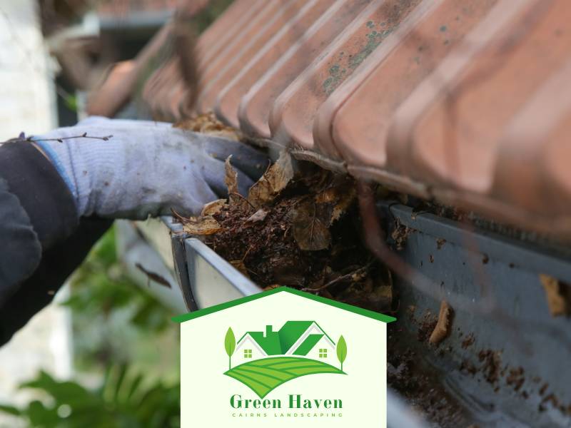 Cairns Garden Seasonal Clean Up QLD