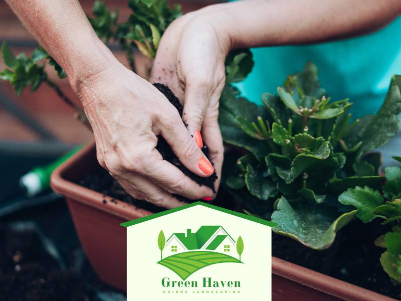 Cairns Garden Soil Mulching and Amendment QLD