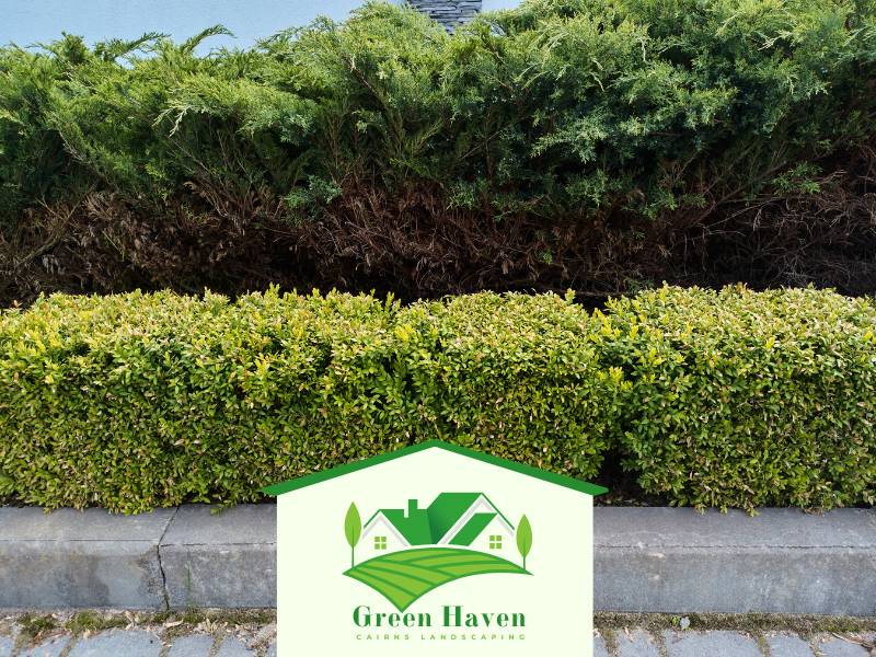 Cairns Garden Tree and Shrub Care QLD