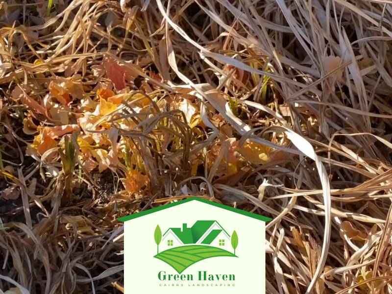 Cairns Seasonal Garden Clean Up QLD