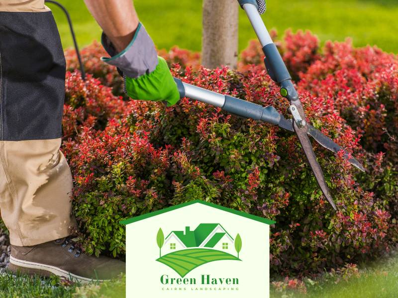 Cairns Tree and Shrub Garden Care QLD
