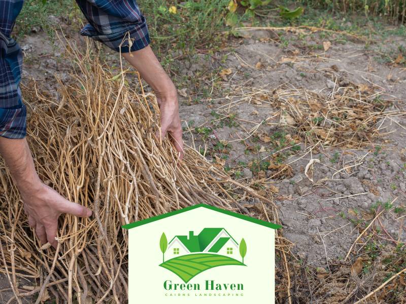 Garden Seasonal Clean Up Cairns QLD