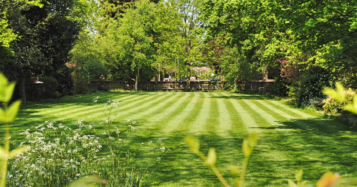 How to Achieve a Perfectly Manicured Lawn uk