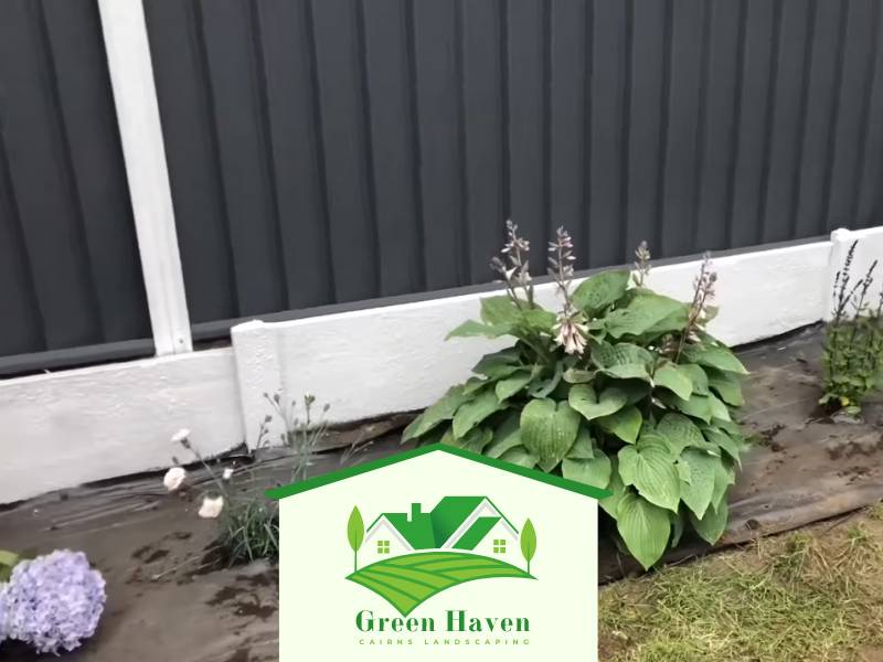 Landscape Cairns Garden Renovation QLD