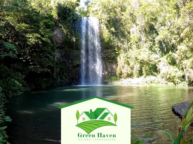 Landscaping Cairns QLD Garden Travel Guide