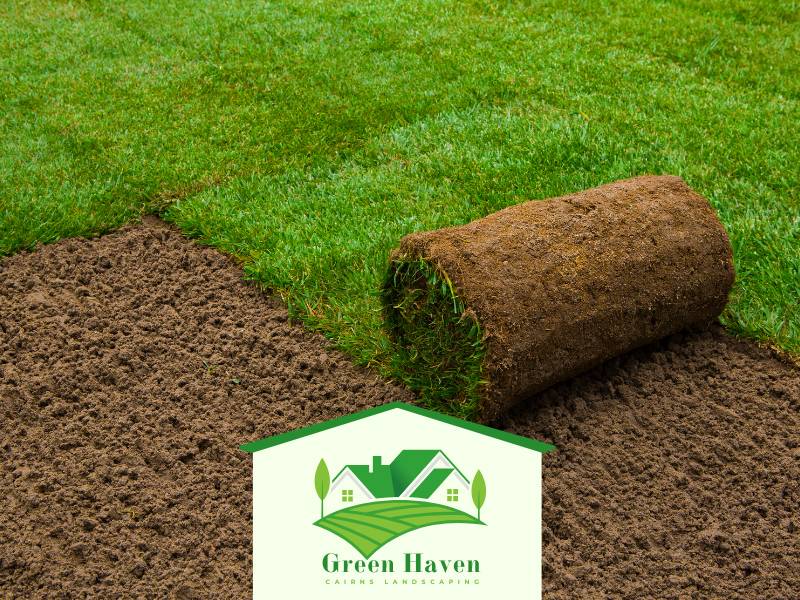 Maintenance Lawn QLD Cairns