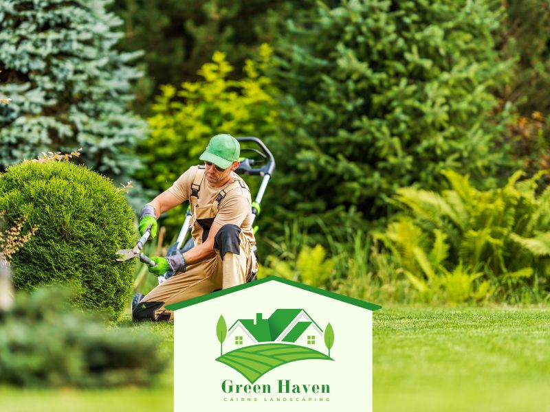 Tree and Shrub Garden Cairns Care QLD